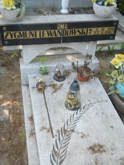 Zdjęcie grobu 8/10431
