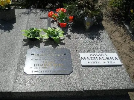 Zdjęcie grobu Krzyżowy/76,77