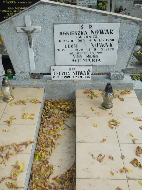 Zdjęcie grobu 15/26733