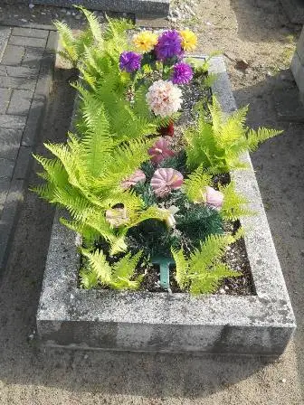 Zdjęcie grobu 46/100