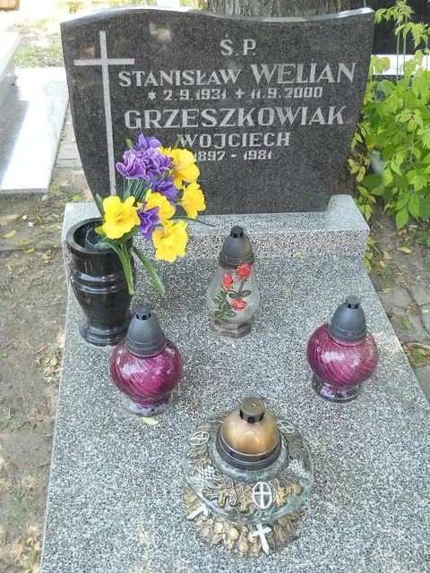 Zdjęcie grobu 7/11882