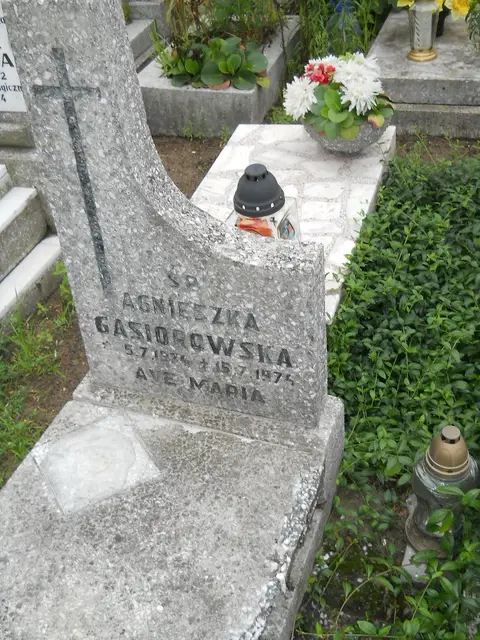 Zdjęcie grobu 21/23831