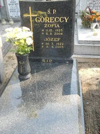 Zdjęcie grobu 28/100