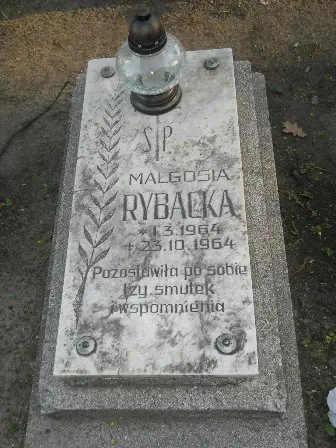 Zdjęcie grobu 7b/129
