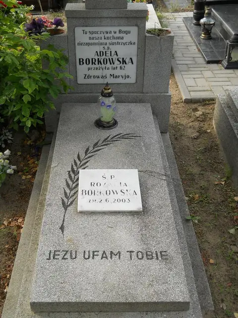 Zdjęcie grobu 11/29130
