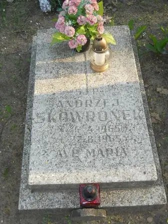Zdjęcie grobu 7b/100