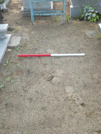 Zdjęcie grobu 39/100