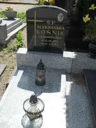 Zdjęcie grobu 41/3a