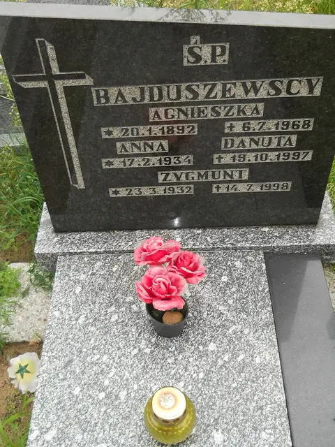 Zdjęcie grobu 22/23476