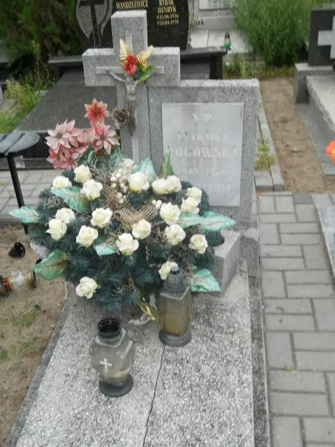 Zdjęcie grobu B/25256