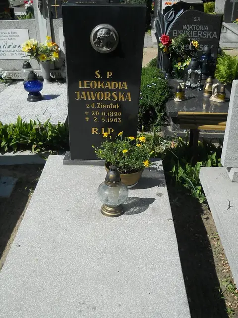 Zdjęcie grobu 6/24213