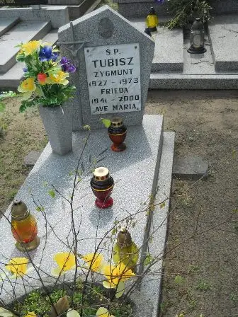 Zdjęcie grobu 40/100
