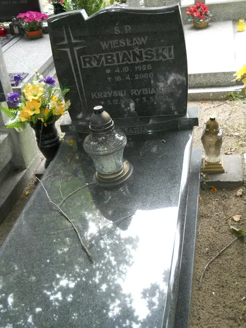 Zdjęcie grobu 13/29669