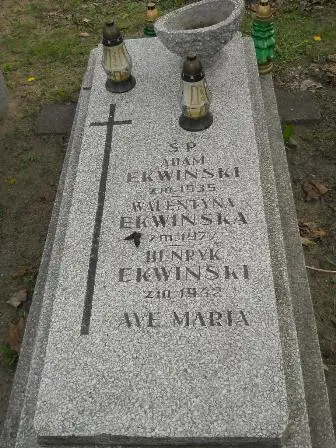 Zdjęcie grobu 9/37