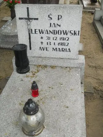 Zdjęcie grobu 26/336