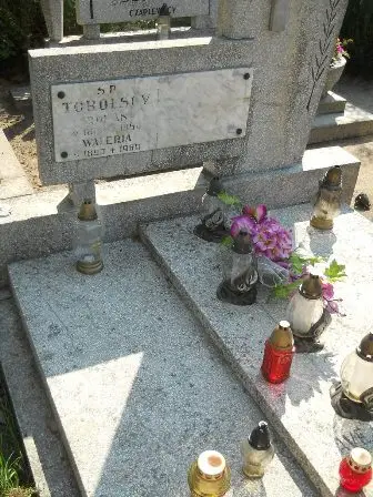 Zdjęcie grobu 29/130,131