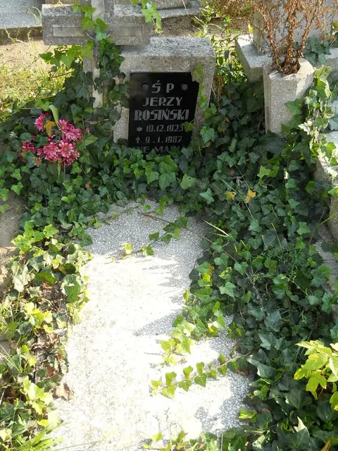 Zdjęcie grobu 14/27789