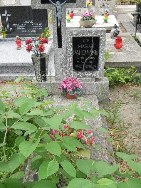 Zdjęcie grobu A/24659