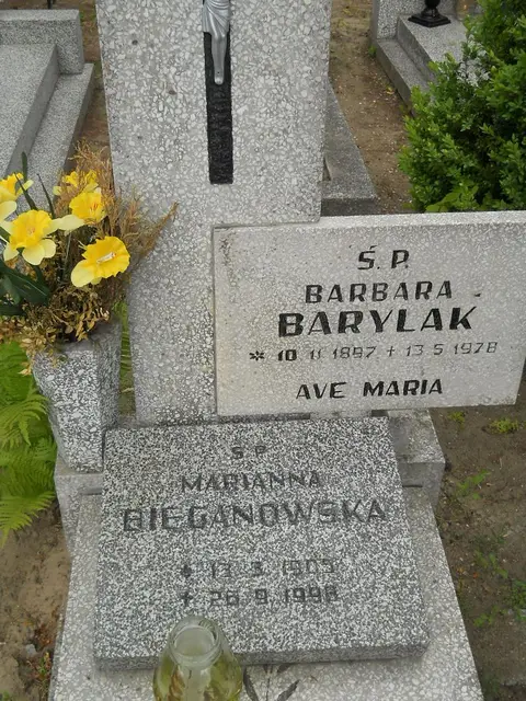 Zdjęcie grobu 7/10852