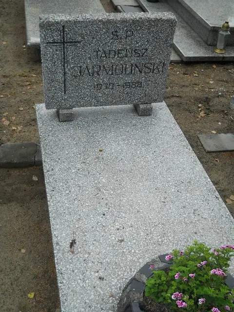 Zdjęcie grobu 16/26200