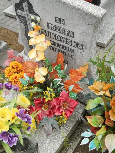 Zdjęcie grobu 22/23488
