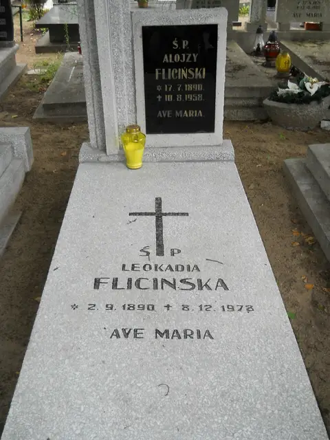 Zdjęcie grobu 12/29478