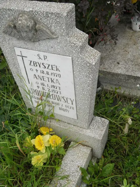 Zdjęcie grobu 21/23839