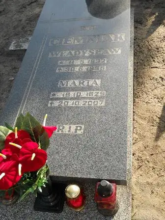Zdjęcie grobu 1/291a gł