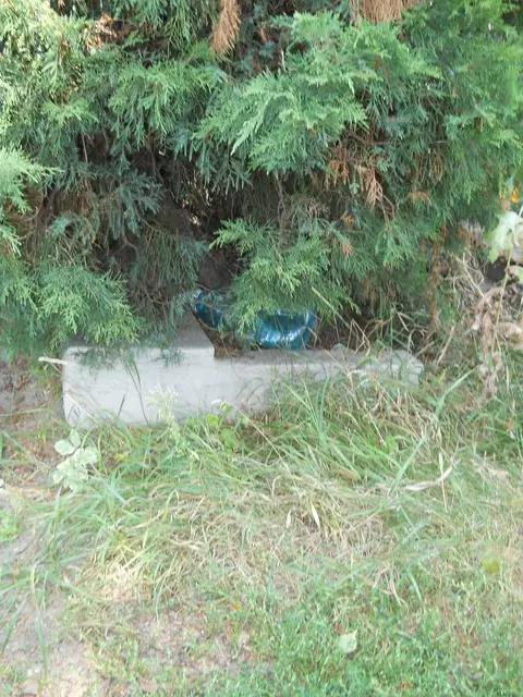 Zdjęcie grobu 18/28219