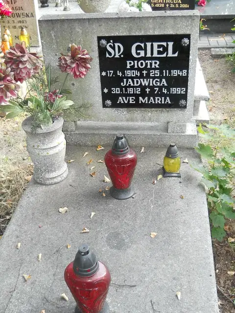 Zdjęcie grobu 15/26755