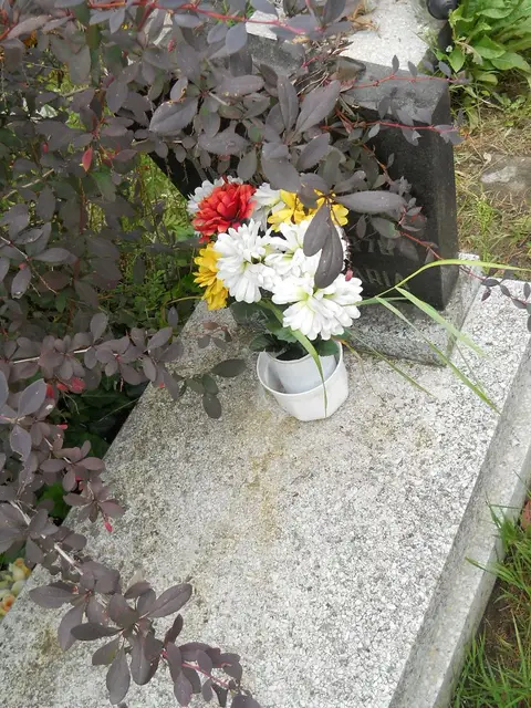 Zdjęcie grobu 21/23800