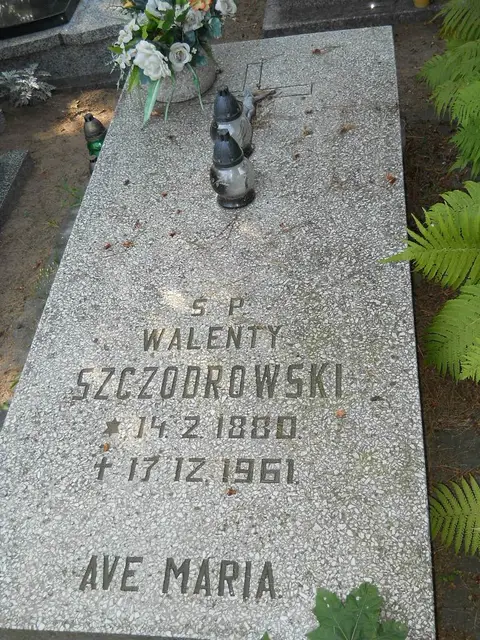 Zdjęcie grobu 17/28065