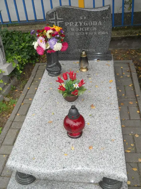 Zdjęcie grobu 14/25994