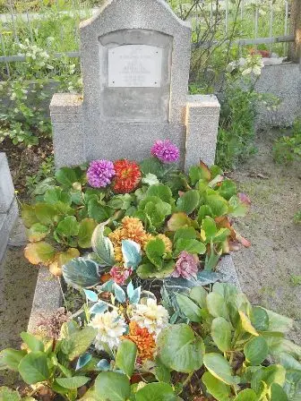 Zdjęcie grobu P/160