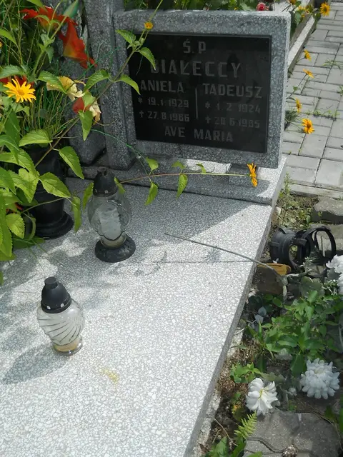 Zdjęcie grobu 26/22806