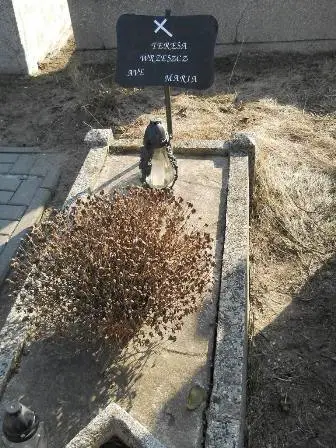 Zdjęcie grobu 2/8