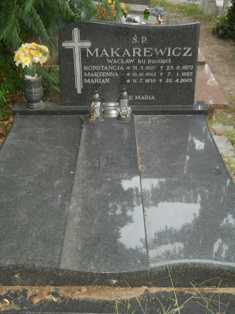 Zdjęcie grobu 14/29036