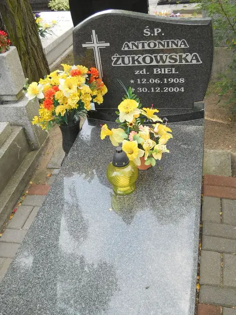 Zdjęcie grobu 6/24306