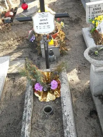Zdjęcie grobu 100/100