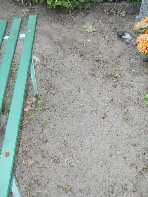 Zdjęcie grobu 8/10613