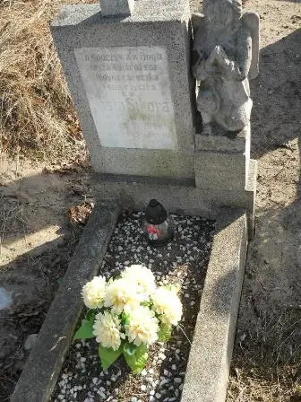 Zdjęcie grobu 100/100