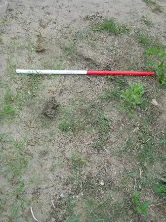 Zdjęcie grobu 40/100