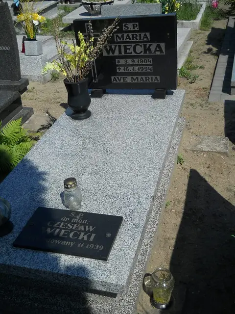 Zdjęcie grobu 7/11849