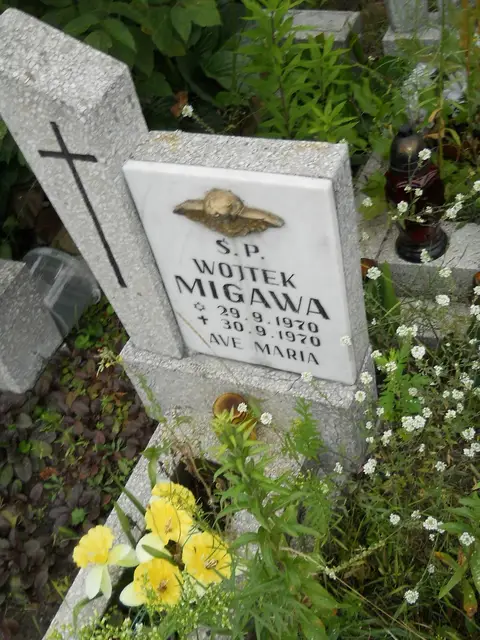 Zdjęcie grobu 21/23843