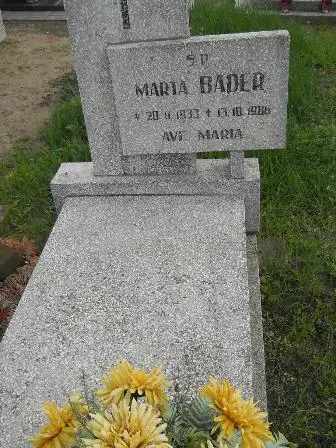 Zdjęcie grobu 44/347