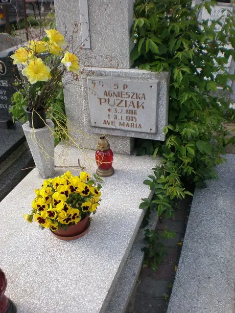 Zdjęcie grobu 8B/20092