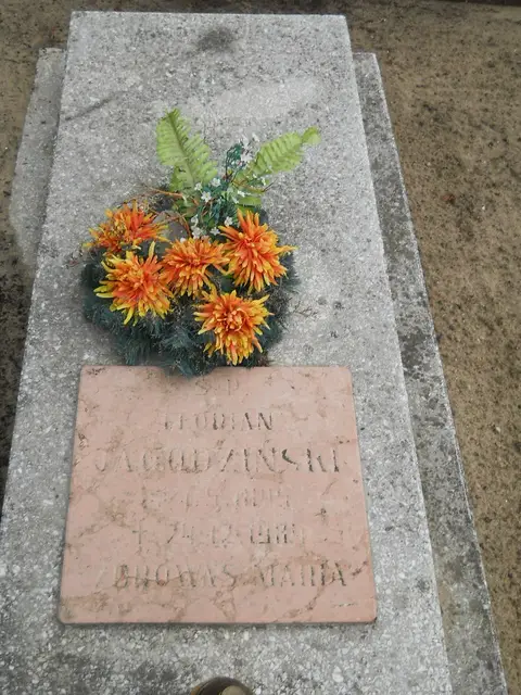 Zdjęcie grobu 26/23136