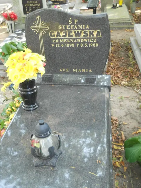 Zdjęcie grobu 19/28567