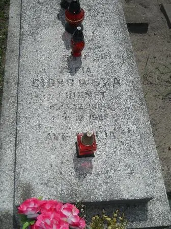 Zdjęcie grobu 25/479