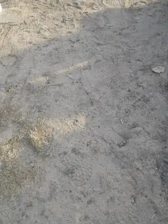 Zdjęcie grobu 10/100